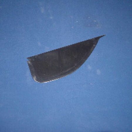 Fin